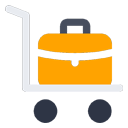 Luggage Transfer icon